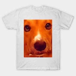 Sad Eyes T-Shirt